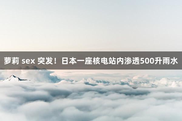 萝莉 sex 突发！日本一座核电站内渗透500升雨水