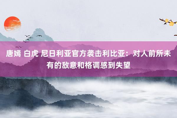 唐嫣 白虎 尼日利亚官方袭击利比亚：对人前所未有的敌意和格调感到失望